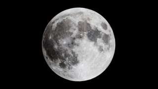 Астрофизик из Гарварда заявил, что на Луне можно найти следы внеземной жизни