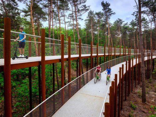 В Бельгии построили обзорную велосипедную дорожку, пролегающую сквозь кроны деревьев (6 фото)