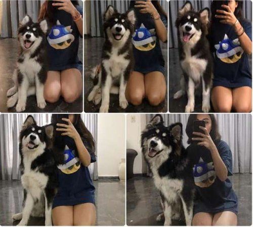 Девушка каждый месяц делала одну и ту же фотографию со своей собакой, чтобы показать, как она растет (4 фото)
