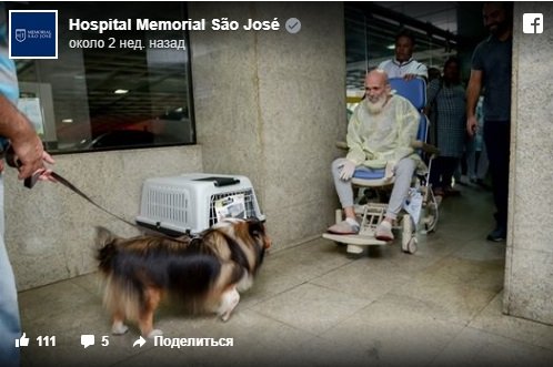 Врач удивился улучшению состояния своего пациента после того, как последнего посетила его собака (4 фото)
