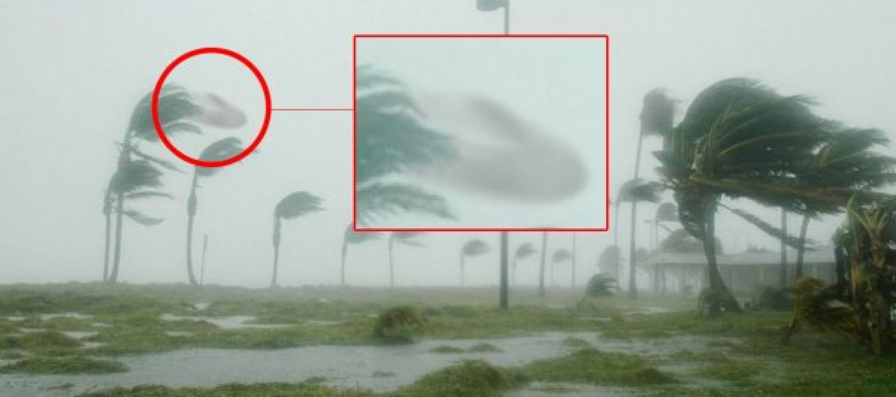 Уфологи уверены, что пришельцы похищали людей во время урагана «Дориан», фото