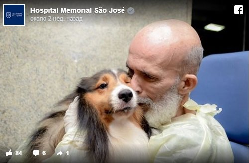 Врач удивился улучшению состояния своего пациента после того, как последнего посетила его собака (4 фото)